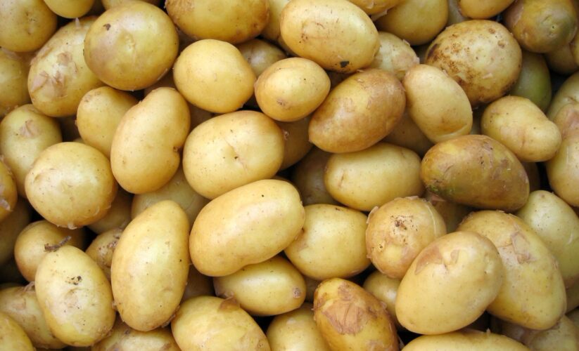 Ninja Foodi Pressure Cook Potatoes: Step-by-Step Guide