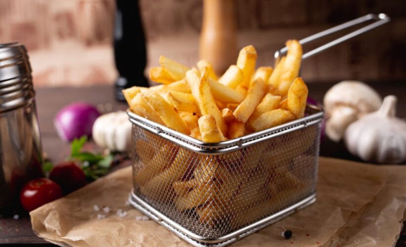 Ninja Foodi Air Fryer French Fries