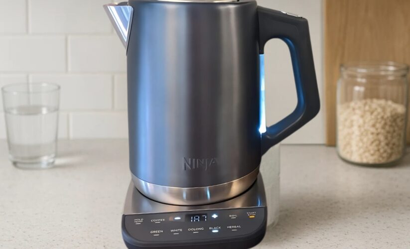 Ninja KT200 Precision Temperature Electric Kettle