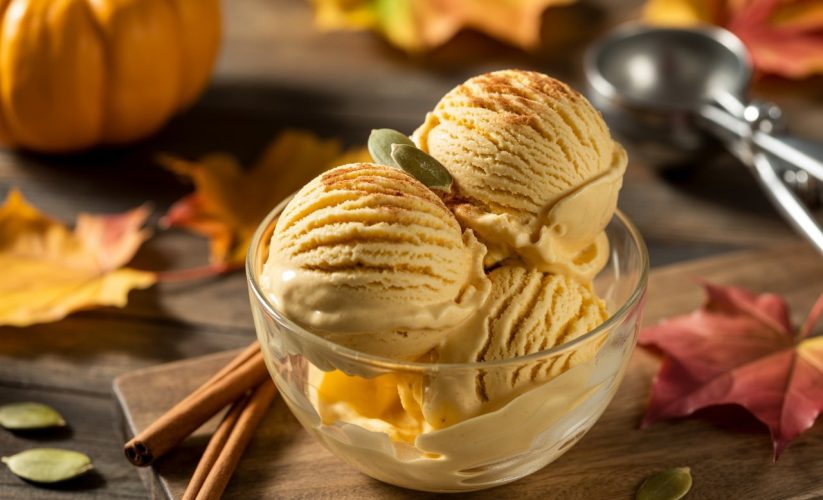Ninja Creami Pumpkin Ice Cream